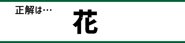 正解は…花