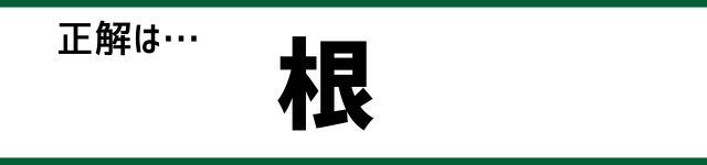 正解は…根