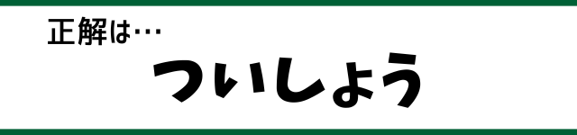 正解は…ついしょう