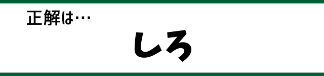 正解は…しろ