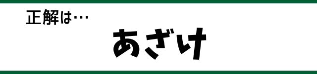 正解は…あざけ