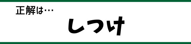 正解は…しつけ